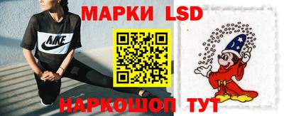 индика Обь