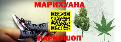 индика Обь