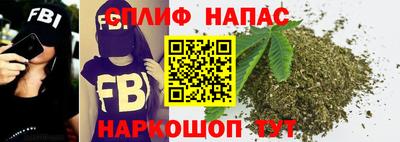 индика Обь