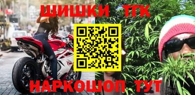 индика Обь