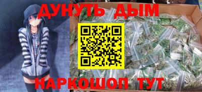 индика Обь