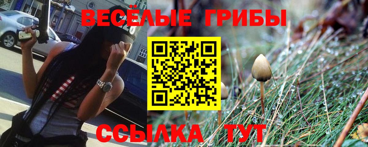 Узловая  Галлюциногенные грибы мицелий  Вход с VPN 